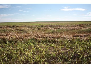 Property photo 60 - LAND AUCTION, 3255+/- Acres offered in 13 Tracts